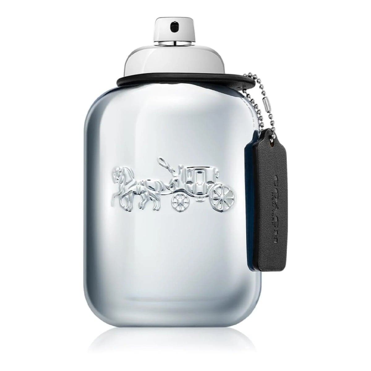 Coach Platinum, front