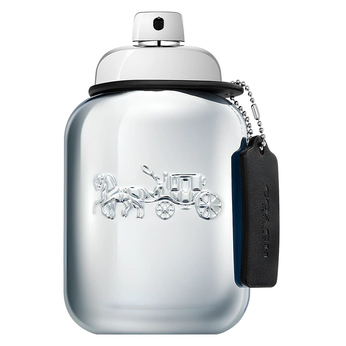 Coach Platinum, front