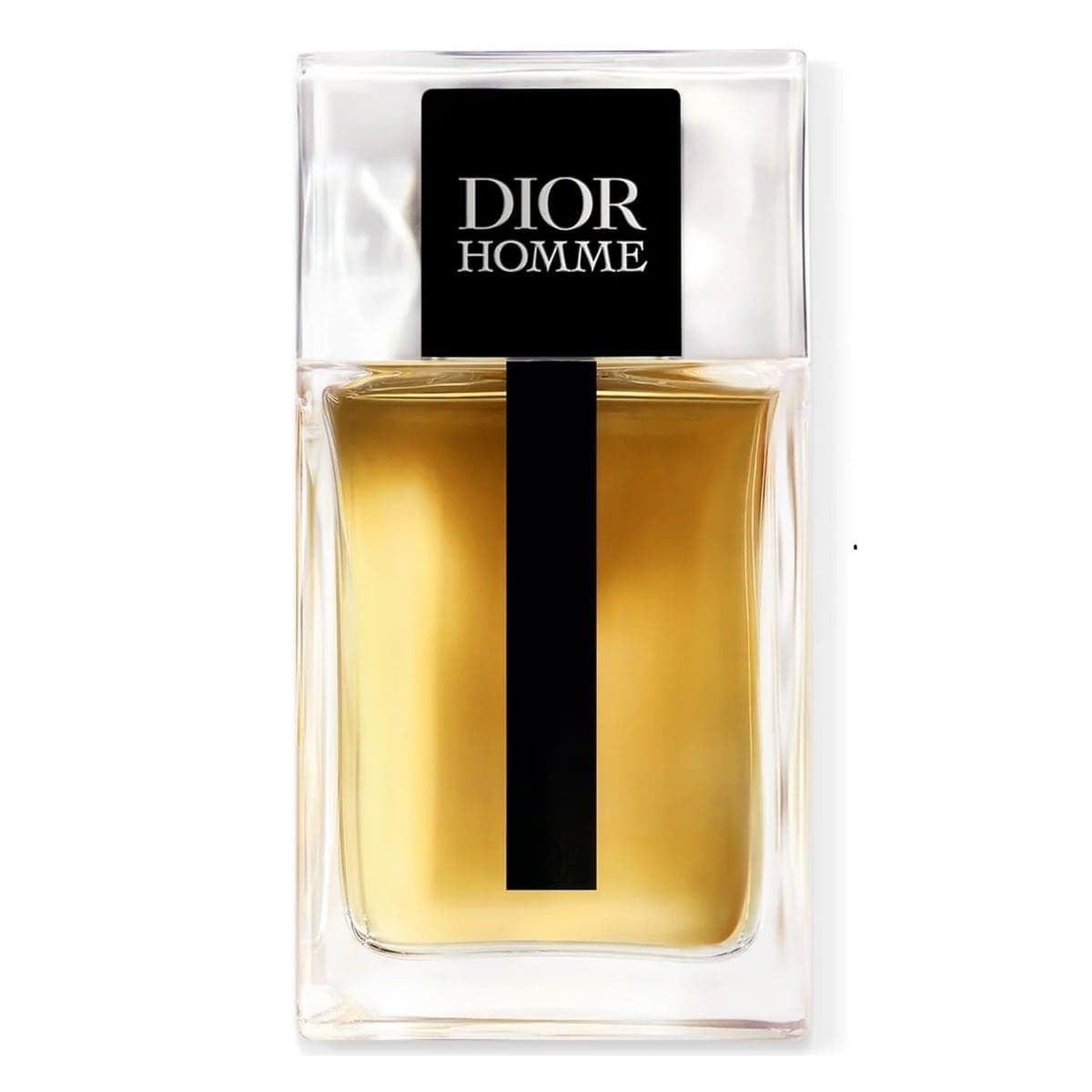 Dior Homme