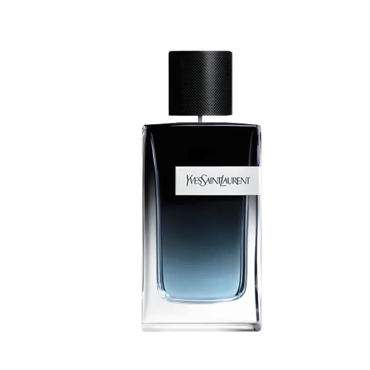 Yves Saint Laurent Y